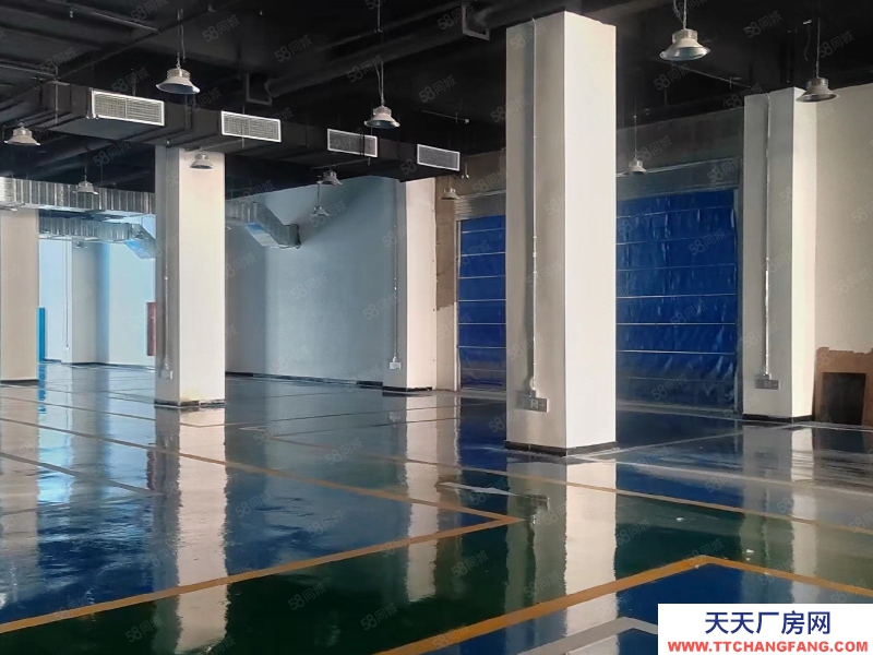 (出售) 大空間廠房轉讓，食品藥品，現房入住