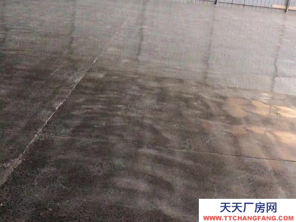 (出租) 鄭州惠濟區(qū)花園口黃河橋東鄰花溪路標準鋼結構高臺庫對外招租