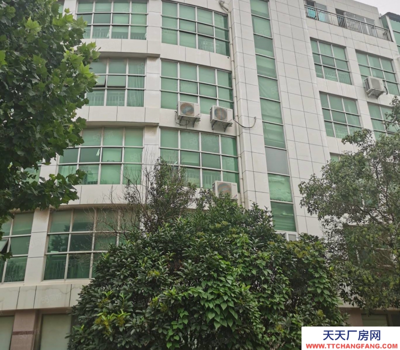 濟南天橋二環內獨棟工業廠房 實用面積660平 有貨梯送露臺 個人產權