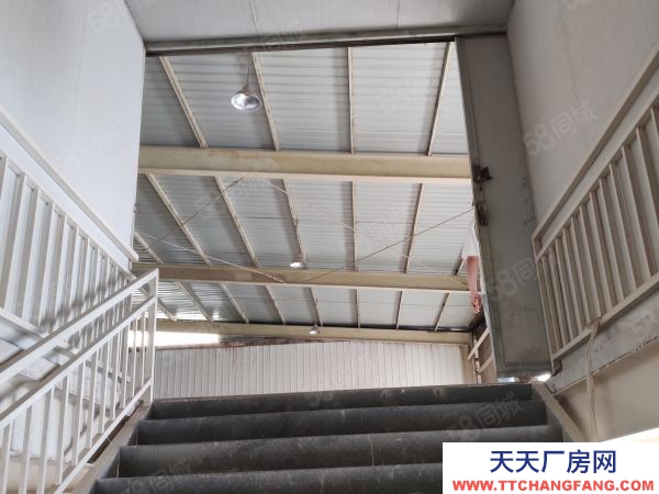 晉寧工業園5800平獨院有證廠房出租