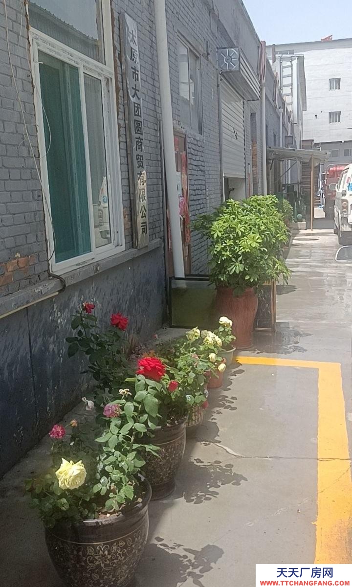 (出租) 出租萬柏林萬柏林周邊出租廠房