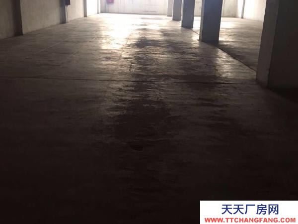 (出租) 鄭州金水區南陽路黃河路、倉庫1000平可整租可分割