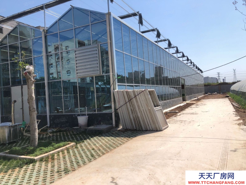 濟(jì)南長(zhǎng)清平安北路獨(dú)門大院溫室培育基地場(chǎng)地倉庫出租