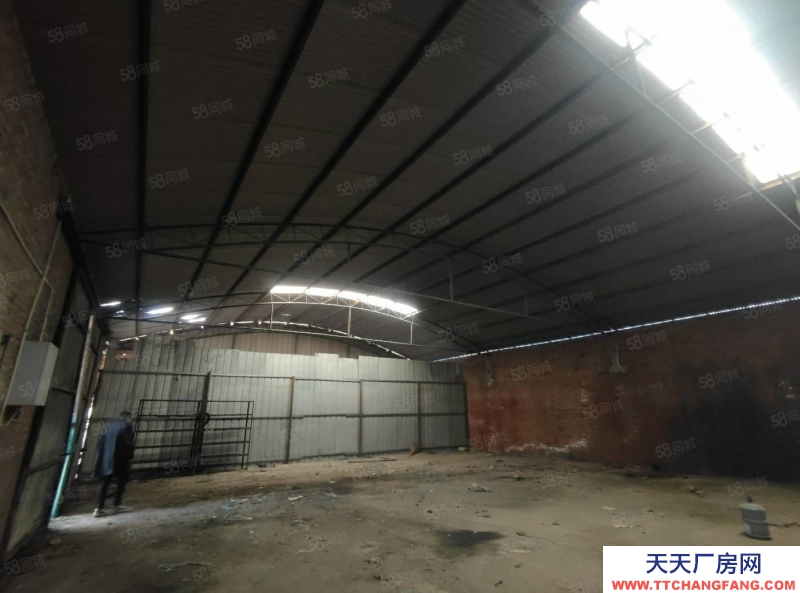 (出租) 廠房 倉庫出租 300平1000平可分租可整租西中環長興南街