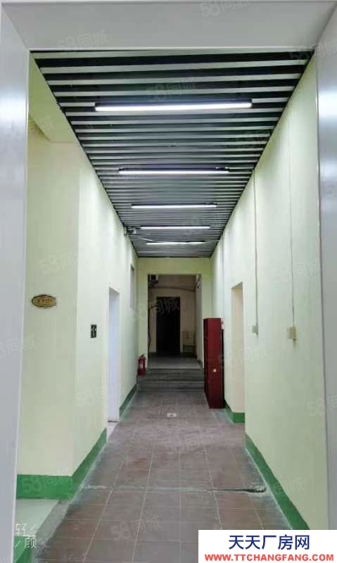 濟南長清104國道旁山水集團斜對過獨院倉庫出租