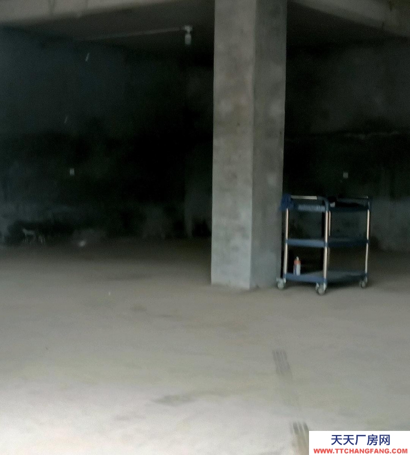 濟(jì)南長清濕地公園南門附近,交通方便,水電齊全,