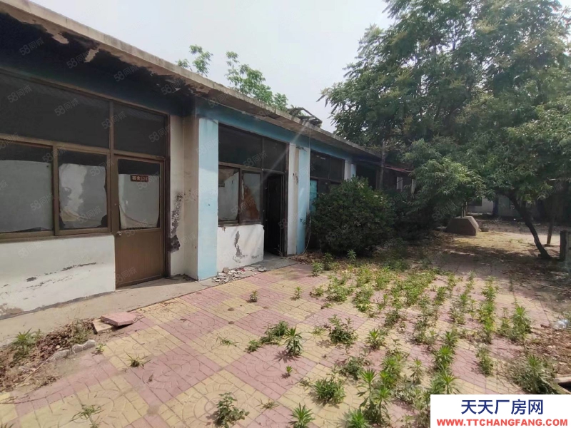 石家莊 欒城區(qū)冶河廠房710平245平600平分租整租