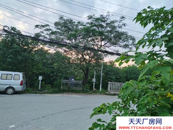 (出租)武漢青山房東直租免中介費鋼結構三間