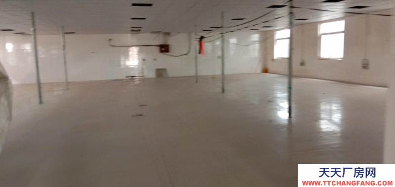 石家莊 高邑  出租廠房，交通便利，緊臨高速路口。