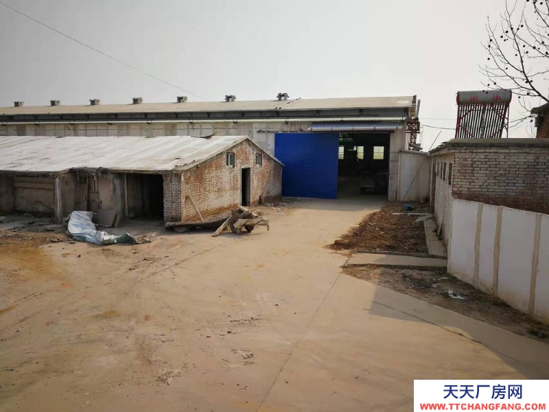 石家莊 高邑 鋼結構大空間,廠房庫房辦公齊全,占地50畝,交通方便