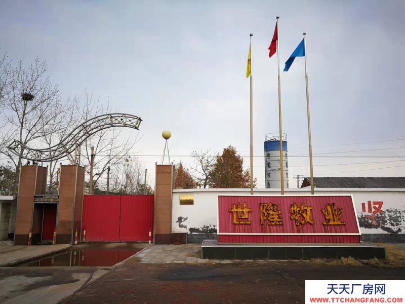 石家莊 高邑  鋼結構大空間，廠房庫房辦公齊全，占地50畝，交通方便