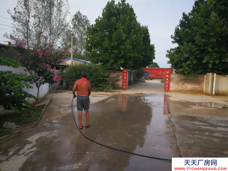 石家莊 高邑 鋼結構大空間,廠房庫房辦公齊全,占地50畝,交通方便