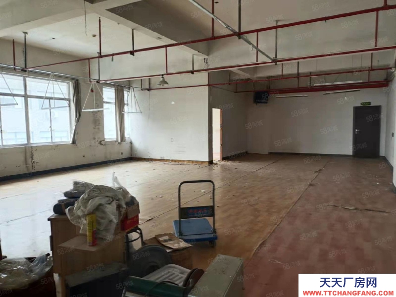 杭州西湖(出租) 房東直租 樓上365方倉儲加辦公 做好的辦公隔間 上下貨方便