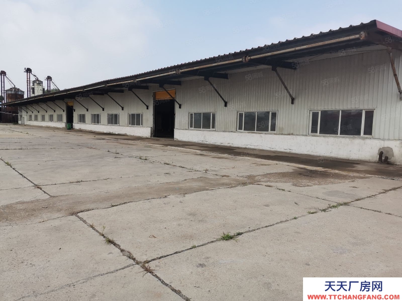 (出租) 倉儲中心庫房出租（東陵路農(nóng)業(yè)大學(xué)對面）