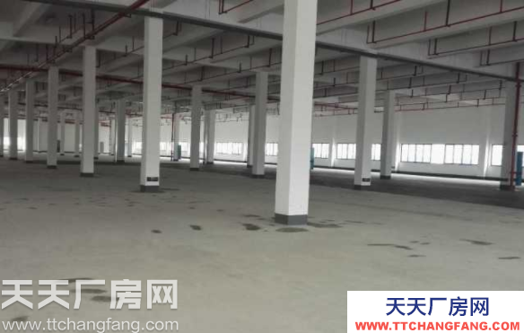 長沙市岳麓區52000平米大面積廠房招租