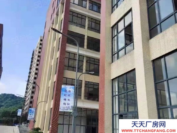 長沙市岳麓區標準混疑土框架結構有標準運動場地招租