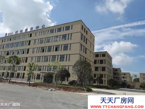 長沙市岳麓區準現房！出售高新區最高性價比辦公樓，南北通透，可用于辦公研發生產倉儲