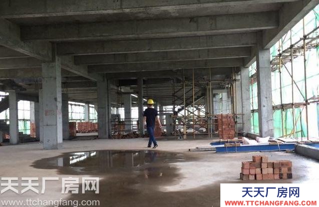 長沙市岳麓區麓谷300-5000平廠房出售