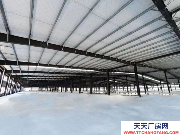 長沙市岳麓區 河西岳麓區麓谷鋼構廠房一樓單層行車行吊1000出租平