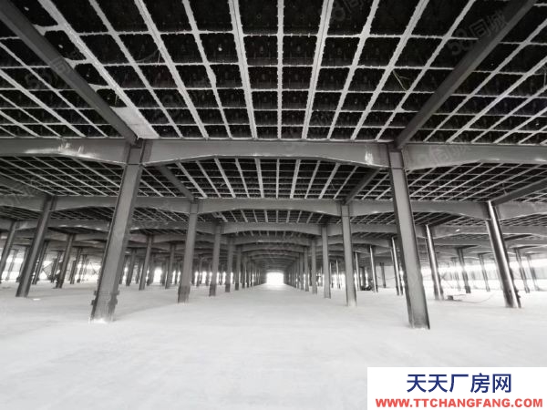 長沙市岳麓區 河西岳麓區麓谷鋼構廠房一樓單層行車行吊1000出租平