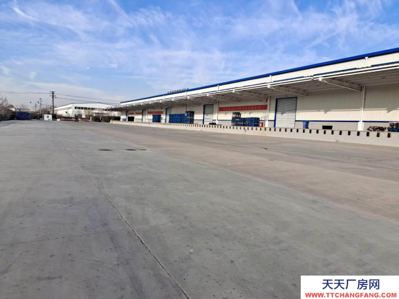 石家莊 元氏 丙二類高臺庫,萬平高臺庫出租