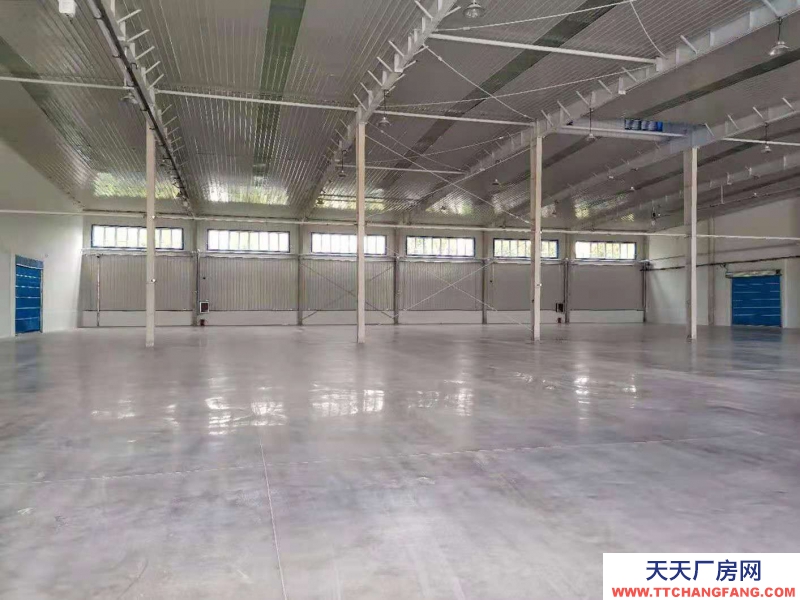 石家莊 元氏 丙二類高臺庫,萬平高臺庫出租