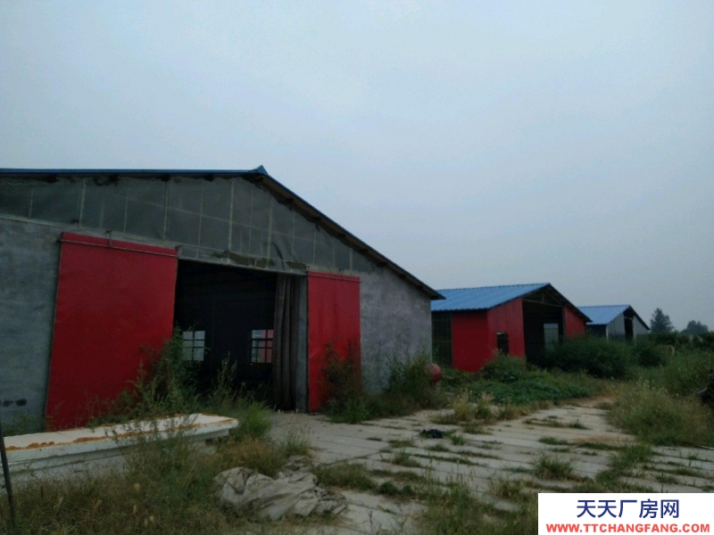 石家莊 趙縣城南獨立廠區四周清凈高速省道交通便利