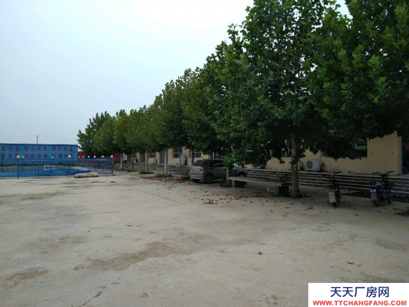 石家莊 趙縣城南獨立廠區四周清凈高速省道交通便利