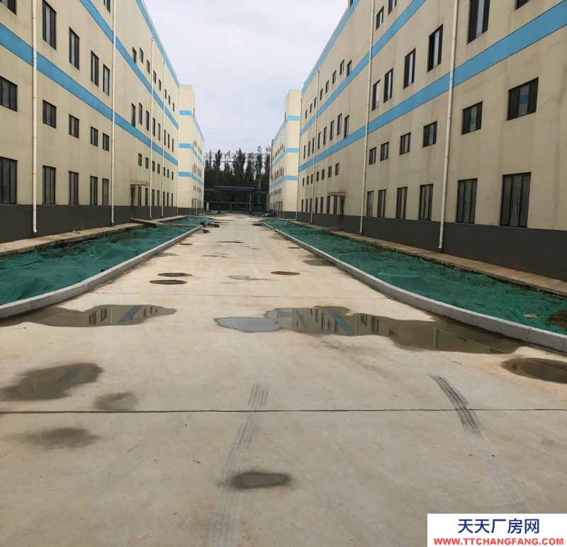 濟南商河 醫藥、高端原料藥類專用廠房+甲類危品庫