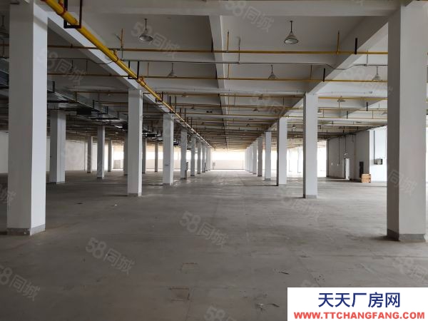 (出租) 武漢東西湖3000平米鋼構(gòu)倉(cāng)庫(kù)和6000平米獨(dú)棟倉(cāng)庫(kù)出租