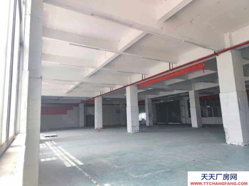 (出售)廣州 南沙區(qū)獨(dú)門獨(dú)院靚盤出售