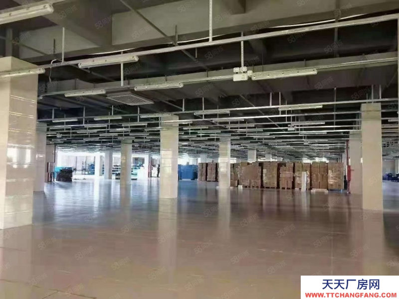 (出售) 廣州南沙區中心位置占地5.6畝獨院出售 近臨地鐵套配完善