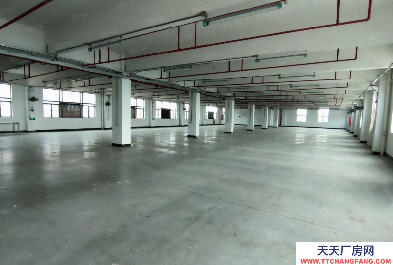 (出售) 廣州南沙全新裝修獨門獨院3500方標(biāo)準(zhǔn)廠房出售,價格便宜證件齊全