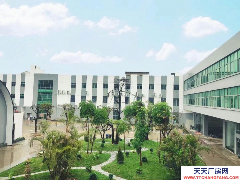 (出售) 廣州南沙全新裝修獨門獨院3500方標(biāo)準(zhǔn)廠房出售,價格便宜證件齊全