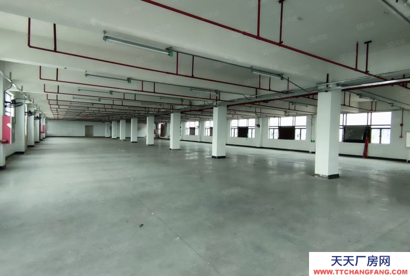 (出售) 廣州南沙全新裝修獨門獨院3500方標(biāo)準(zhǔn)廠房出售,價格便宜證件齊全