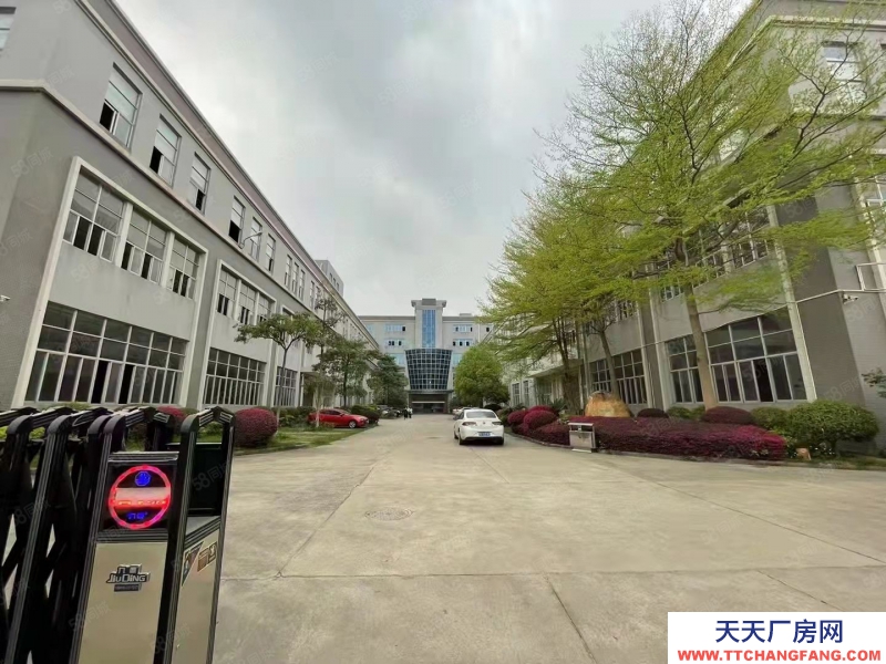 (出租) 廣州南沙東涌高端科創園區新裝修廠房辦公室倉庫300起租帶環評