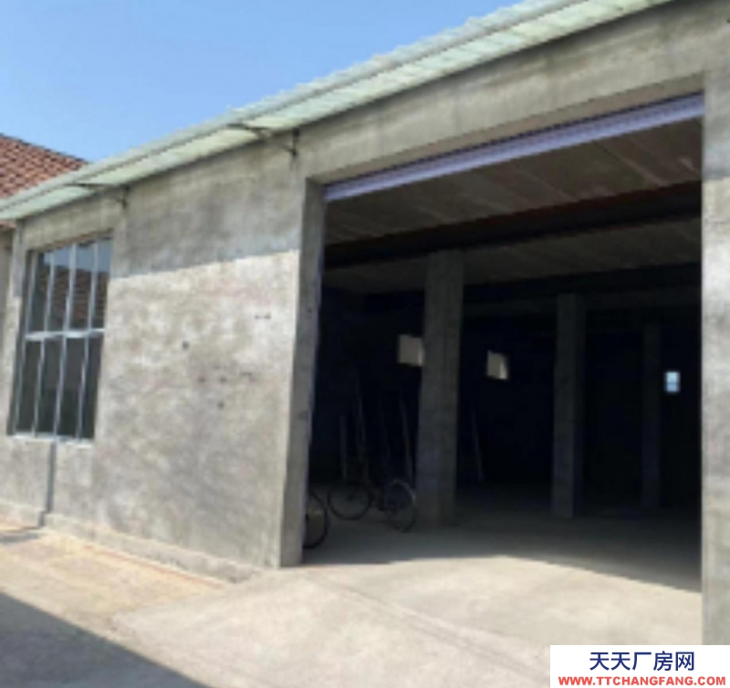 濟(jì)南商河出租商中路北段佟道口新平房230平