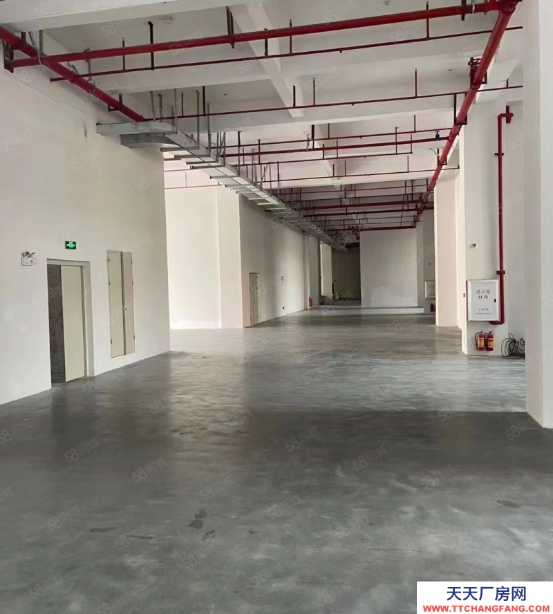 (出租) 廣州南沙45000方全新高質(zhì)量多功能園區(qū)廠(chǎng)房，精裝修，可分租