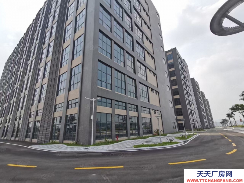 (出租) 廣州南沙一手房東全新廠房出租，證件齊全，空地面積大近國道大小分租