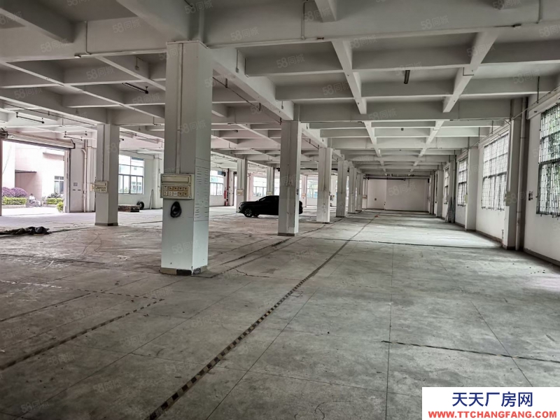 (出租) 廣州南沙一手房東全新廠房出租，證件齊全，空地面積大近國道大小分租