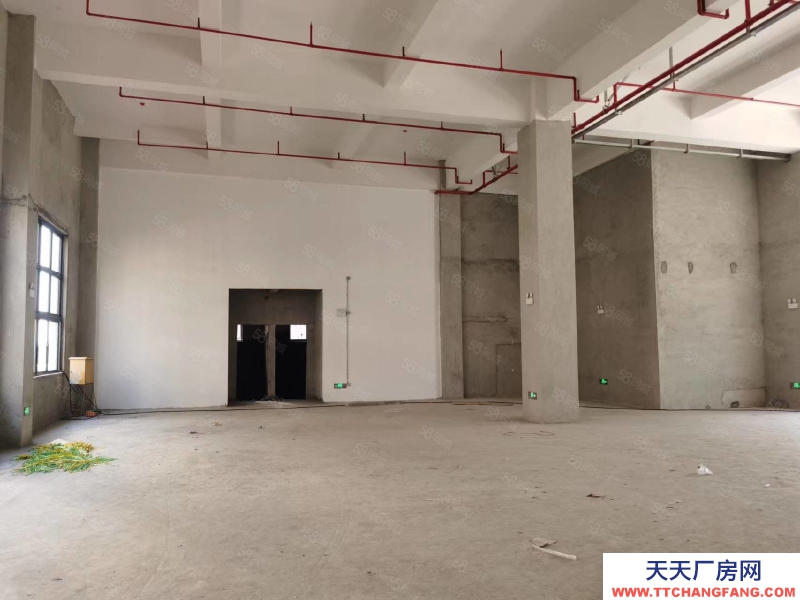 (出租) 廣州南沙一手房東全新廠房出租，證件齊全，空地面積大近國道大小分租