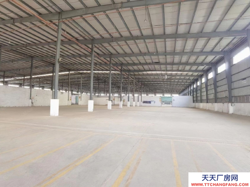 (出租) 廣州南沙滴水9米鋼結構8000平方，1000平方起租，手續齊全可環評