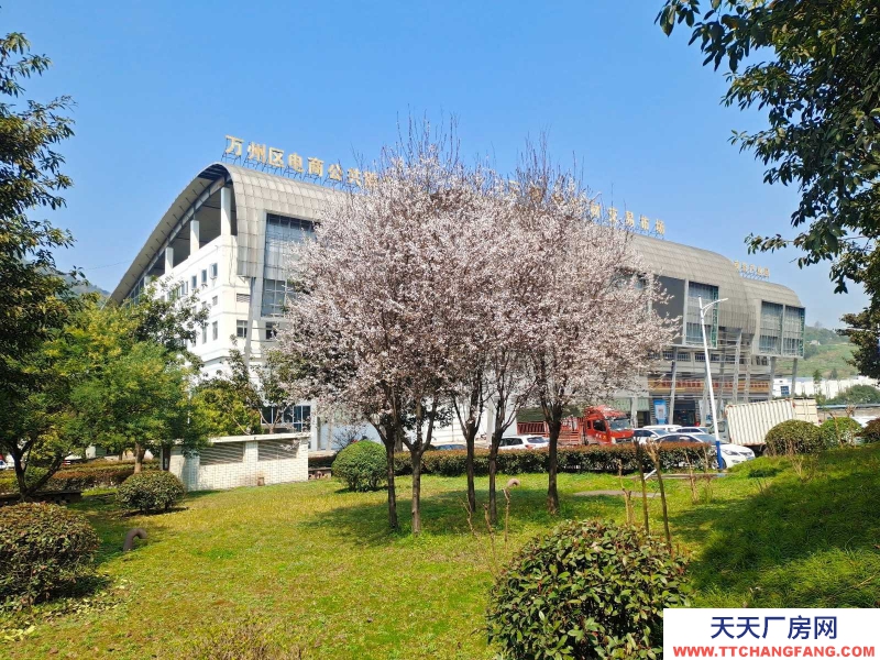 (出售) 出售重慶萬州五橋42000平3層3房屋