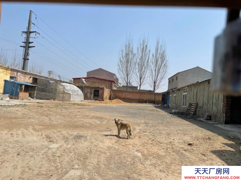 石家莊 辛集  新壘頭工業(yè)區(qū)廠房帶院帶場地出租