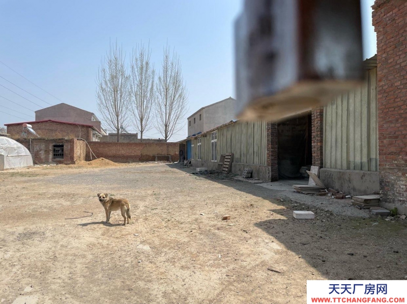 石家莊 辛集  新壘頭工業(yè)區(qū)廠房帶院帶場地出租
