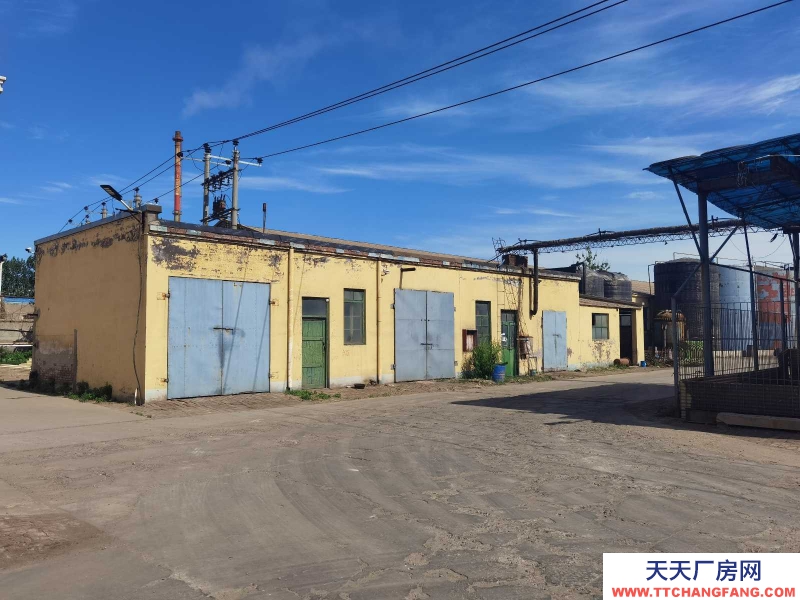 石家莊 辛集庫房、廠房、辦公室。有水、電、蒸汽