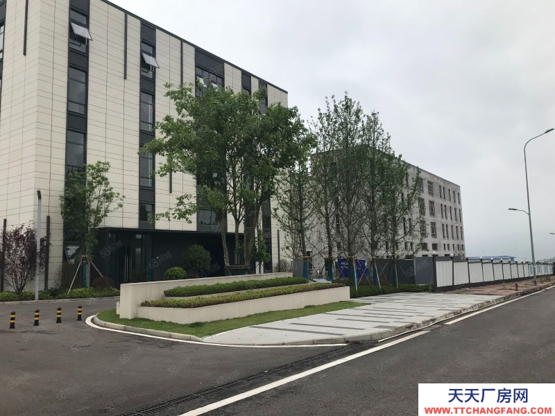 重慶巴南年中業績沖量 指定房源2開頭 主城獨棟準現房