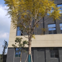 重慶巴南大江廠工業(yè)園標(biāo)準(zhǔn)化廠房50年獨(dú)立產(chǎn)權(quán)