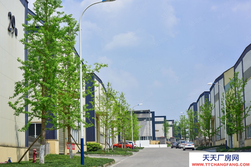 重慶巴南現房!獨棟廠房出售,廠辦一體,配套完善