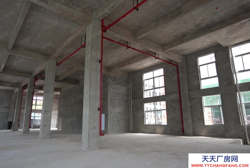 重慶長壽獨棟食品廠房出售,廠辦一體,實用性強